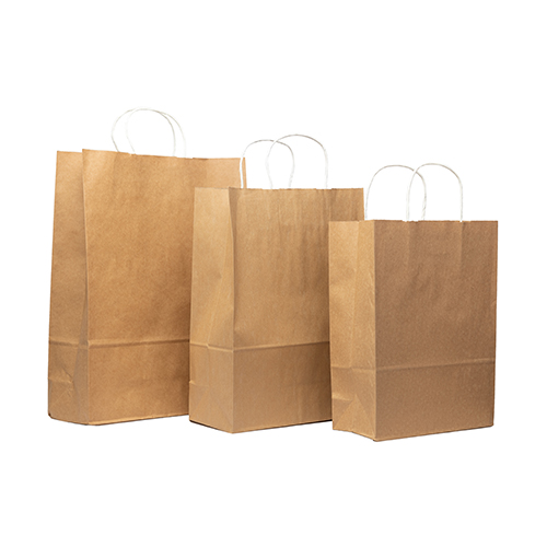 Square Bottom Shopping Bags_2