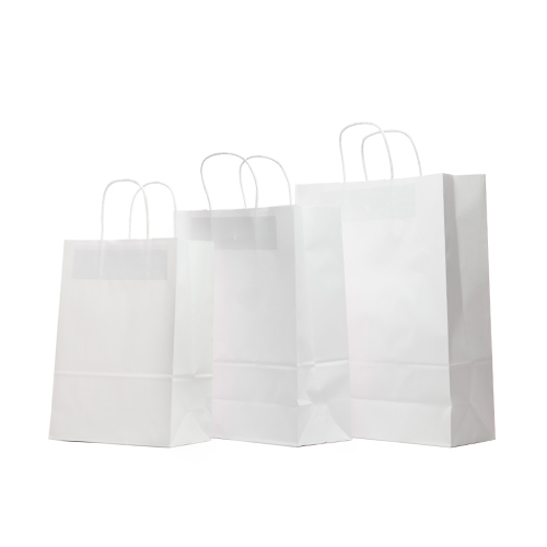 Square Bottom Shopping Bags_6